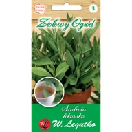 Nasiona i cebule - LEGUTKO W. Szałwia Lekarska (Salvia officinalis) - miniaturka - grafika 1