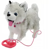 Zabawki interaktywne dla dzieci - INTERAKTYWNY PIESEK NA SMYCZY CHODZI SZCZEKA HUSKY YY2401 husky - miniaturka - grafika 1