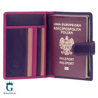 Portfele - Kolorowe skórzane etui na paszport Visconti RB-75 RFID - grafika 1