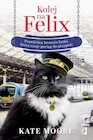 Publicystyka - Kolej na Felix - miniaturka - grafika 1
