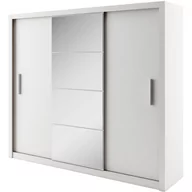 Szafy - Szafa Przesuwna 250 z Lustrem ID-01 Idea Lenart Szary - miniaturka - grafika 1