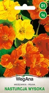 Nasiona i cebule - Nasturcja Pnąca Wysoka mieszanka kolorów 5g nasiona - WegAna - miniaturka - grafika 1