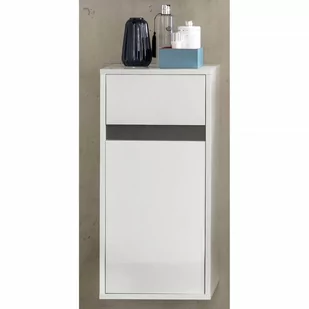 Trendteam SL łazienka szafa, komoda łazienkowa wiszące | wysoki połysk biały | 35 x 73 cm 1635-801-3 - Szafki łazienkowe - miniaturka - grafika 1