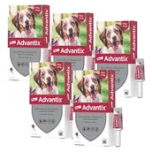 Artykuły przeciw pasożytom - Krople na pchły i kleszcze BAYER Advantix Spot-on Średnie psy (10-25 kg) 20 x 2.5 ml - miniaturka - grafika 1