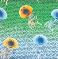 Kąpielówki dla chłopców - YO! LKS-45 Boy  szorty kąpielowe chłopięce - Yo! - miniaturka - grafika 1