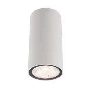 Nowodvorski PLAFON ZEWNĘTRZNY EDESA LED WHITE | BIAŁY S 9111) 9111Nowodvorski - Lampy ogrodowe - miniaturka - grafika 3