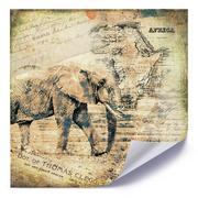 Plakaty - Plakat FEEBY Afrykanski słoń, 40x40 cm - miniaturka - grafika 1