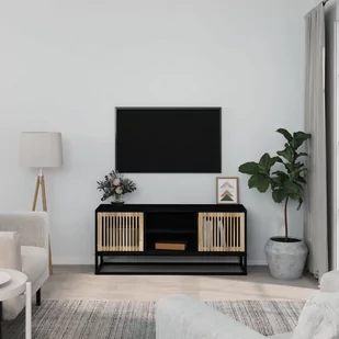 Szafka pod TV, czarna, 105x30x45 cm, materiał drewnopochodny Lumarko! - Szafki RTV - miniaturka - grafika 1