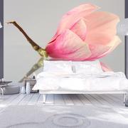 Fototapety - Fototapeta - Samotny kwiat magnolii (rozmiar 200x154) - miniaturka - grafika 1