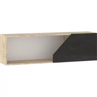 Szafki do salonu - Szafka Wisząca 120 1D PAX-24 Pax MebloCross Dąb Endgrain / Biały / Błękit - miniaturka - grafika 1