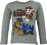 Bluzy dla dziewczynek - Bluzka dziecięca z postaciami z bajki Psi Patrol Movie Szara - miniaturka - grafika 1