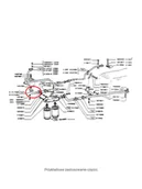 Części i akcesoria do maszyn rolniczych - NEW HOLLAND CASE Rurka hydrauliczna CNH 5131254 5131254 - miniaturka - grafika 1