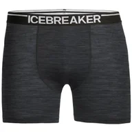Majtki męskie - Męskie bokserki Icebreaker Mens Anatomica Boxers Rozmiar: L / Kolor: szary - miniaturka - grafika 1