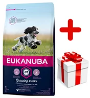 Sucha karma dla psów - Eukanuba Puppy&Junior Medium Breed 15 kg - miniaturka - grafika 1