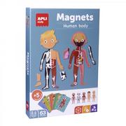 Układanki dla dzieci - Magnetyczna układanka Apli Kids Ciało człowieka - miniaturka - grafika 1