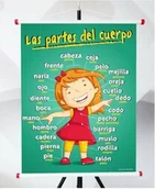 Pomoce naukowe - Plansza- LAS PARTES DEL CUERPO - miniaturka - grafika 1