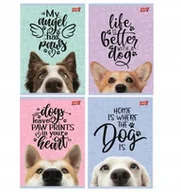 Zeszyty szkolne - St. Majewski Zeszyt A5 Dog linia podwójna dwukolorowa, 70 g/m2 16 kartek - miniaturka - grafika 1