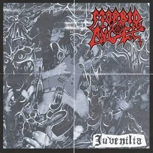 Juvenilia - Metal, Punk - miniaturka - grafika 1