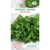 Nasiona i cebule - Pietruszka naciowa Gigante D Italia nasiona 2g W. Legutko - miniaturka - grafika 1