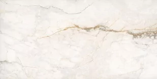 Gres polerowany Imperia Gold 60x120 cm 2.16 m2 - Płytki ceramiczne - miniaturka - grafika 1