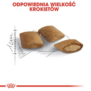 ROYAL CANIN  Ageing +12 2kg + niespodzianka dla kota GRATIS! - Sucha karma dla kotów - miniaturka - grafika 8