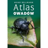 Poradniki hobbystyczne - Atlas owadów w.5 - miniaturka - grafika 1