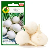 Nasiona i cebule - RZODKIEWKA ŚNIEŻKA WCZESNA 10g NASIONA BEZ GMO - miniaturka - grafika 1