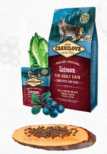 Carnilove Salmon Sensitive & Long Hair 0,4 kg - Sucha karma dla kotów - miniaturka - grafika 1