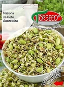 Nasiona i cebule - Soczewica, nasiona na kiełki 20g - Torseed - miniaturka - grafika 1