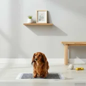 Prześcieradła dla dzieci - vidaXL Podkład treningowy dla zwierząt gładki 200 pcs 60 x 45 cm - miniaturka - grafika 1