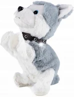 Zabawki interaktywne dla dzieci - PIES INTERAKTYWNY PIESEK HUSKY REAGUJE NA DOTYK SZCZEKA SIADA Jak Prawdziwy - miniaturka - grafika 1