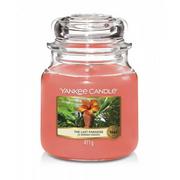 Świece - Yankee Candle Świeca Średnia The Last Paradise 65-75h 411g - miniaturka - grafika 1