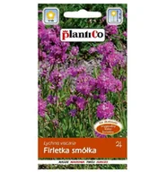 Nasiona i cebule - FIRLETKA SMÓŁKA Lychnis nasiona kwiatów 0,5g - miniaturka - grafika 1