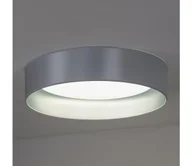 Lampy sufitowe - Duolla - LED Plafon ROLLER LED/24W/230V śr. 45 cm srebrny - miniaturka - grafika 1