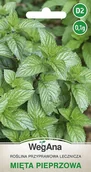 Nasiona i cebule - Mięta pieprzowa 0,1g nasiona - WegAna - miniaturka - grafika 1