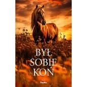 Literatura obyczajowa - Był sobie koń - miniaturka - grafika 1