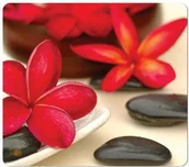 Podkładki pod mysz - Podkładka Fellowes Ekologiczna podkładka Earth Spa (5904601) - miniaturka - grafika 1