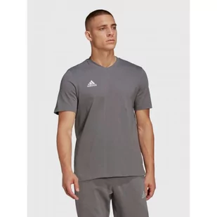Koszulka Męska Adidas T-shirt Bawełniany Popielaty HC0449 - Koszulki męskie - miniaturka - grafika 1