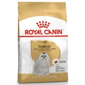Sucha karma dla psów - Royal Canin Maltese Adult 0,5 kg - miniaturka - grafika 1