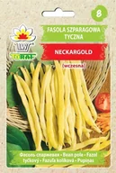 Nasiona i cebule - Fasola szp. tyczna, żółtostr. NECKARGOLD Phaseolus vulgaris L. - miniaturka - grafika 1