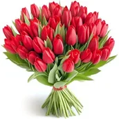 Kwiaty doniczkowe i cięte - Czerwone tulipany 12-100 szt. - miniaturka - grafika 1