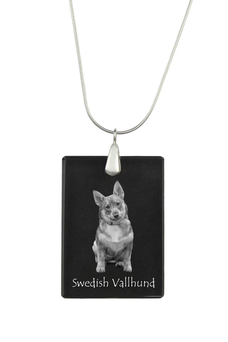 Szwedzki Vallhund, Szwedzki szpic owczarski - kryształowa zawieszka z psem, srebrny naszyjnik ze zdjęciem, personalizowany wisiorek marki Art-Dog