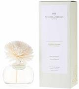 Zapachy do domu - PLANTES&PARFUMS PROVENCE Dyfuzor Zapachowy z Kwiatkiem - White Bamboo - Biały Bambus 100ml 070303 - miniaturka - grafika 1