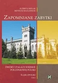 Książki o architekturze - Zapomniane zabytki. Dwory i pałace wiejskie południowej Polski. Śląsk Opolski, tom 2 - Elżbieta Molak, Ireneusz Racławicki - miniaturka - grafika 1