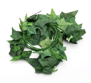 Repti-Zoo Repti-Zoo roślina wisząca 190cm - Hedera RZ Roslina TP009 190cm - Podłoże do terrarium - miniaturka - grafika 1