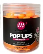 Zanęty - KULKI PŁYWAJĄCE POP UP MAINLINE SCOPEX 15 MM - miniaturka - grafika 1
