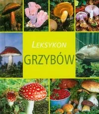 Leksykon grzybów - Poradniki hobbystyczne - miniaturka - grafika 1