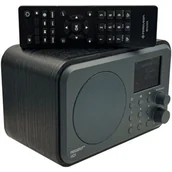 Radia - FERGUSON Regent I101 Internetowe Przenośne Czarne drewno - miniaturka - grafika 1