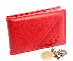 Etui Na Karty Dokumenty ANDRUS (PL) Wizytownik Skóra Naturalna RFID 11x7,5 cm - Etui na dokumenty i karty - miniaturka - grafika 5