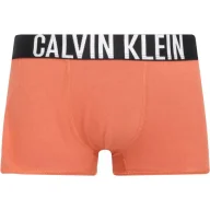 Majtki dla dzieci - Calvin Klein Underwear Bokserki 2-pack - miniaturka - grafika 1